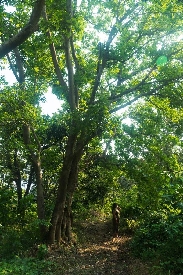 Lermitage Farms Kashid Alibaug Villa Bagian luar foto